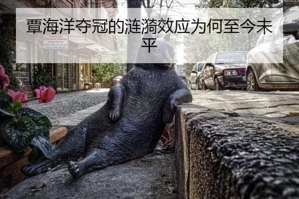 覃海洋夺冠的涟漪效应为何至今未平